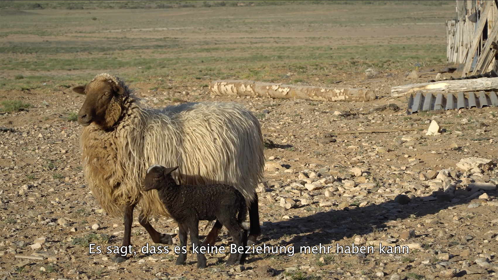 Mooni Perry «And they begged repeatedly not to order them to go into the Abyss»