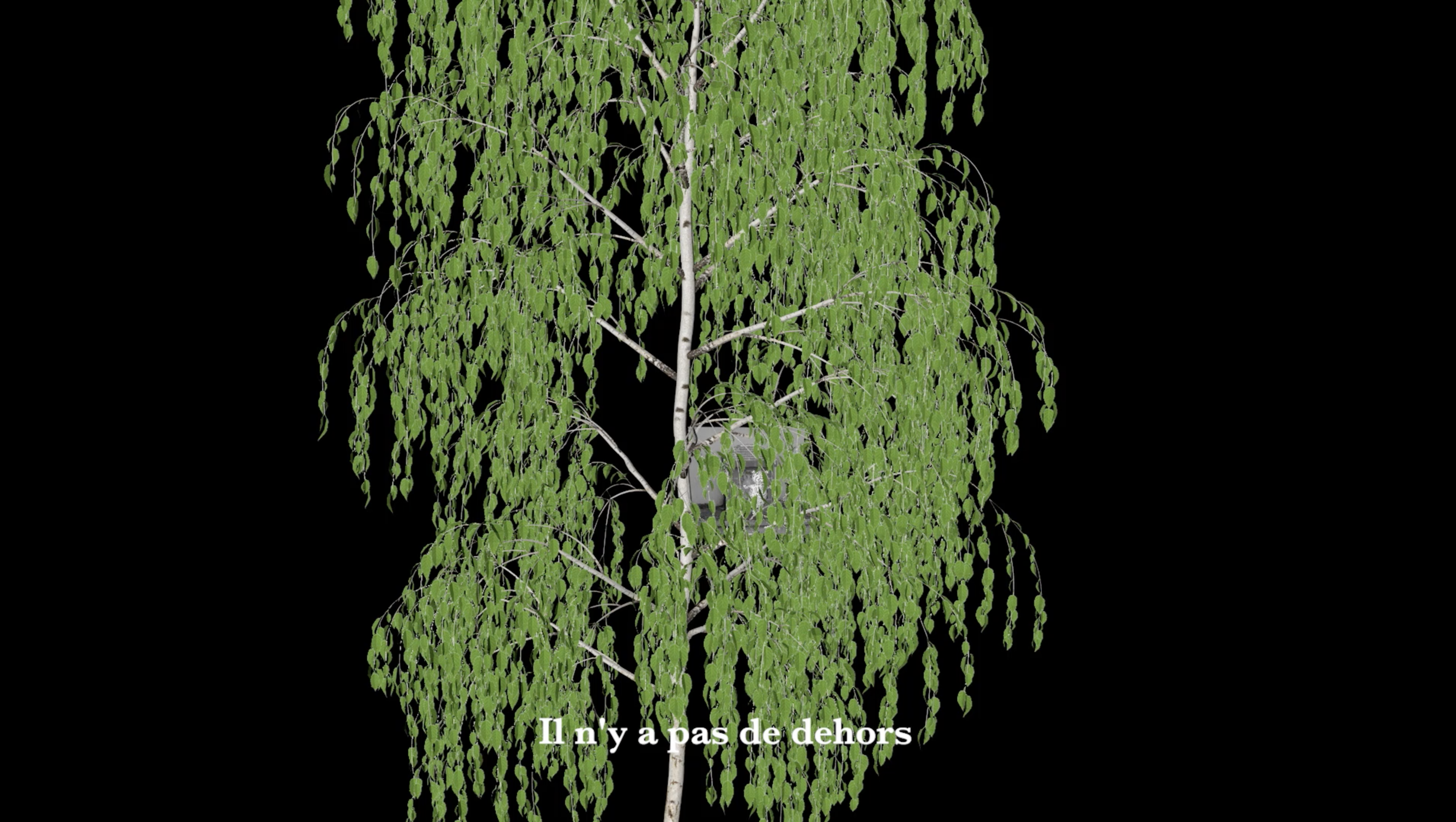 Mooni Perry «And they begged repeatedly not to order them to go into the Abyss»