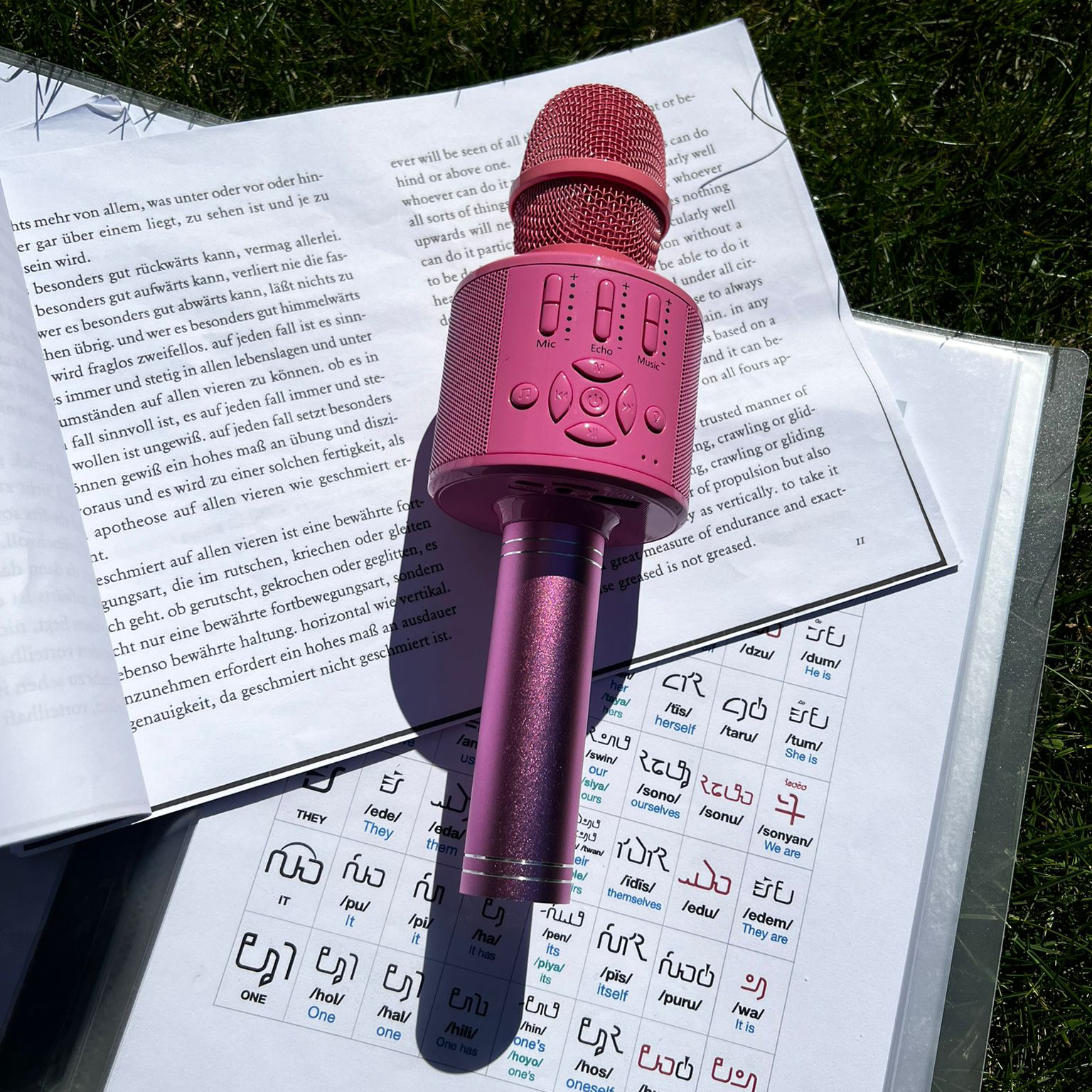 Le microphone appartient à Grandee Dorji. Le microphone est de couleur rose vive. Grandee Dorji est un artiste. Il a inventé la langue « Wonderlandais ». On peut voir des caractères en Wonderlandais<br>
sur la photo. Sissi Tax est une écrivaine. Sissi Tax appelle ses textes « tax-texte ». Cela veut dire « textes de Sissi Tax » en allemand. On peut voir un tax-text sur la photo.